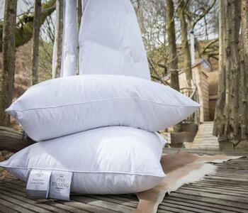 The Fine Bedding Company Goose Down Surround Pillow